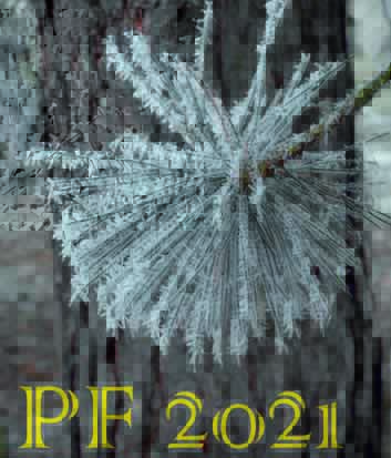 PF 2021 PM orez